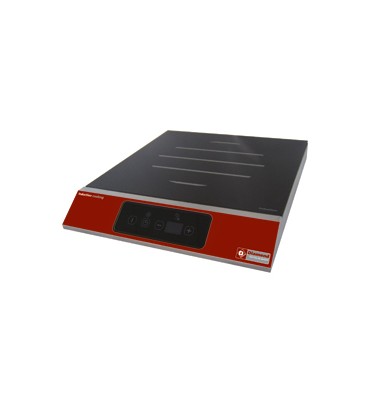 https://www.mastermateriel.com/830-thickbox_default/plaque-a-induction-professionnelle.jpg